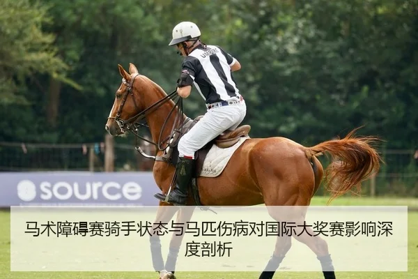 马术障碍赛骑手状态与马匹伤病对国际大奖赛影响深度剖析